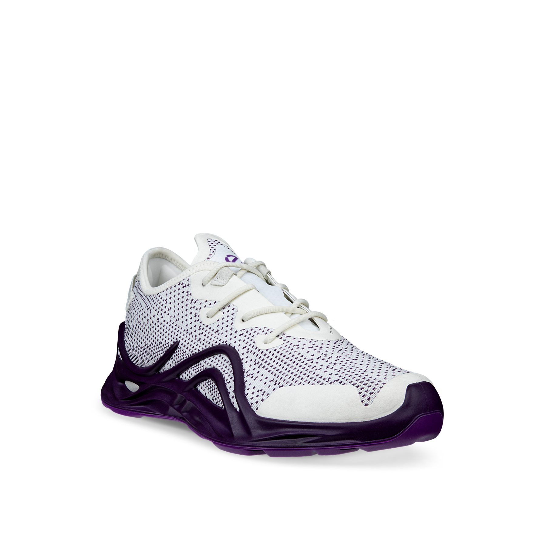 ECCO BIOM INFINITE W TEX