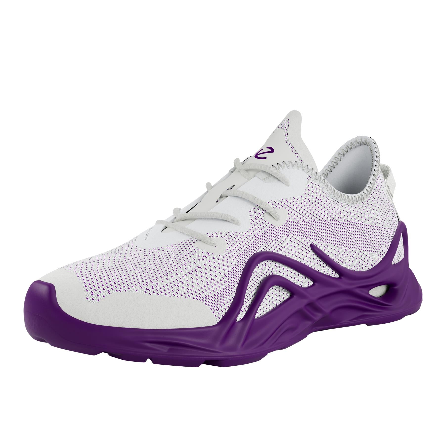 ECCO BIOM INFINITE W TEX